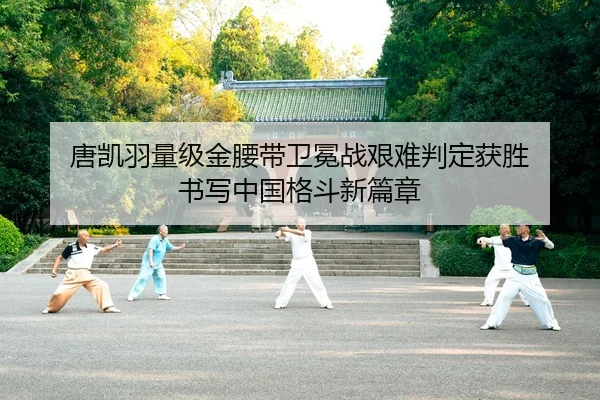 tang-kai-yu-liang-ji-jin-yao-dai-wei-mian-zhan-jian-nan-pan-ding-huo-sheng-shu-xie-zhong-guo-ge-dou-xin-pian-zhang-2-180.jpg