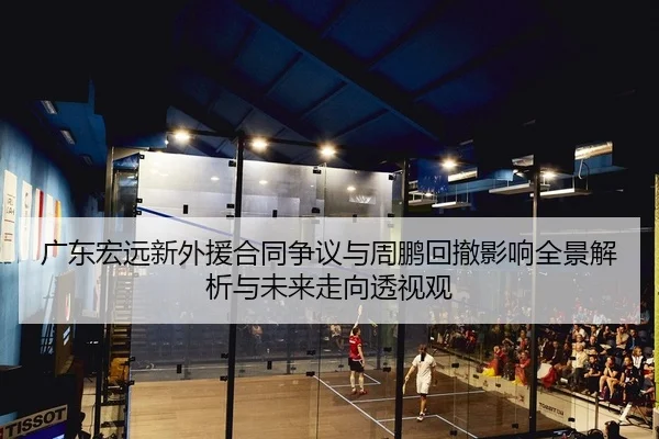 广东宏远新外援合同争议与周鹏回撤影响全景解析与未来走向透视观